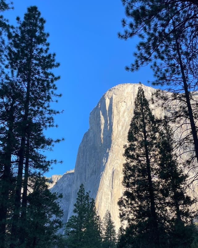 El Capitan in Yosemite Valley at golden hour