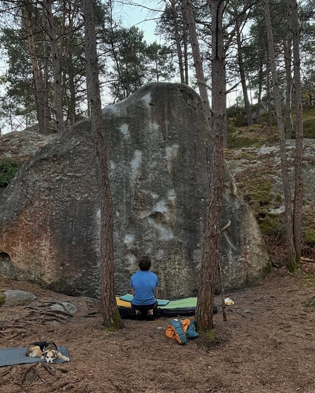 Climber sitting in front of a sandstone boulder in Fontainebleau with a dog